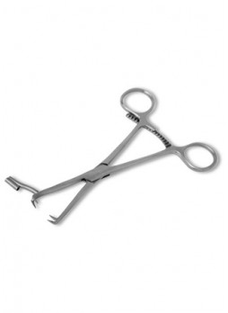 SMALL BONE-Hand & Wrist